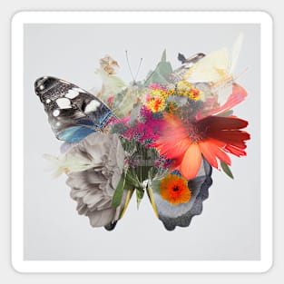 Butterfly Nature Flower Imagine Wild Free Magnet